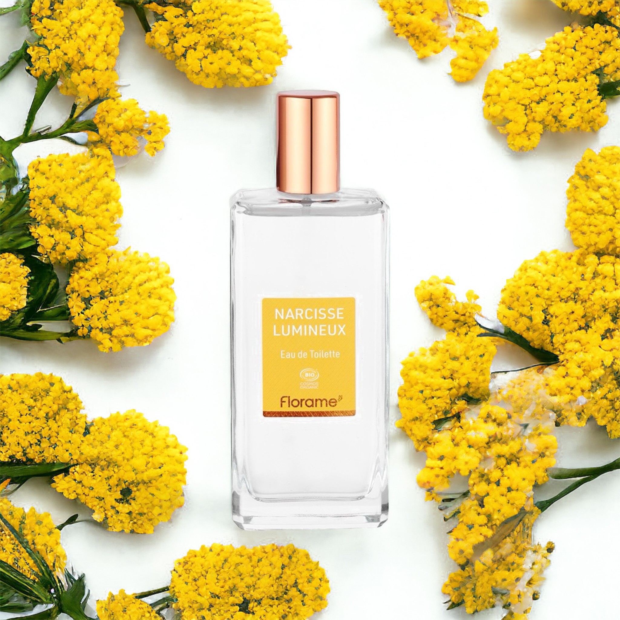 Eau de Toilette Narcisse lumineux (Steel Daffodil) 100ml NEW