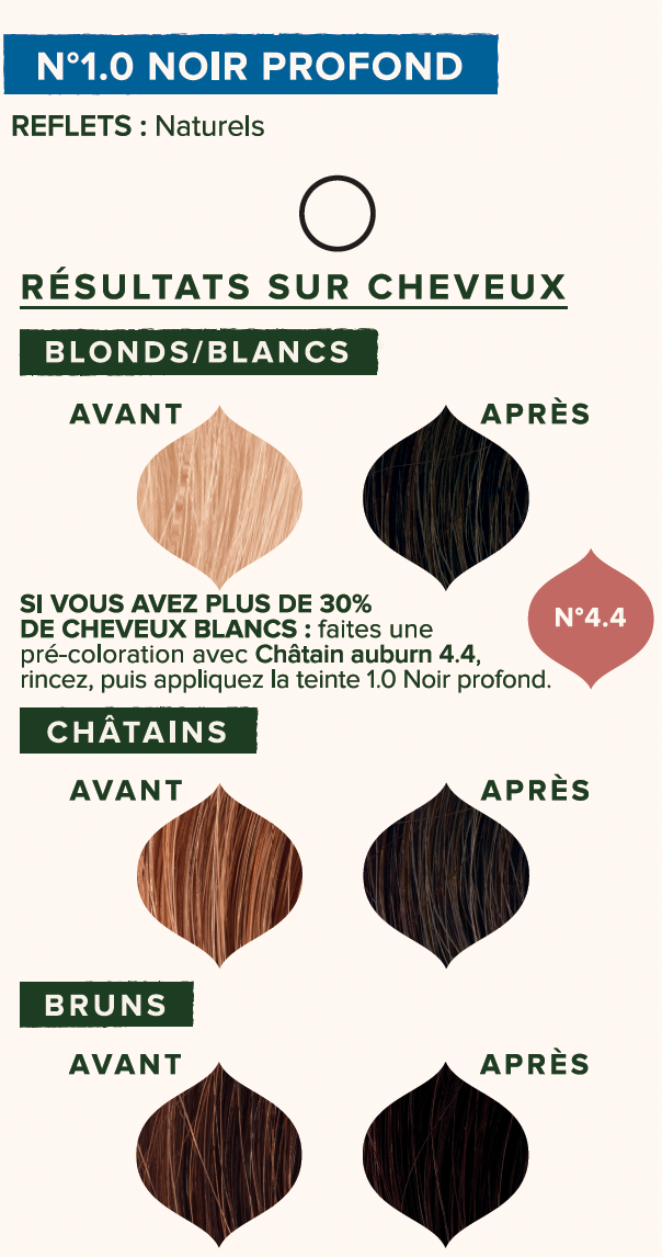 Pflanzen-Haarfarbe 1.0 Schwarzbraun 100g