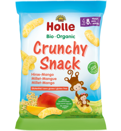 Organic Crunchy Snack Millet-Mango 25g