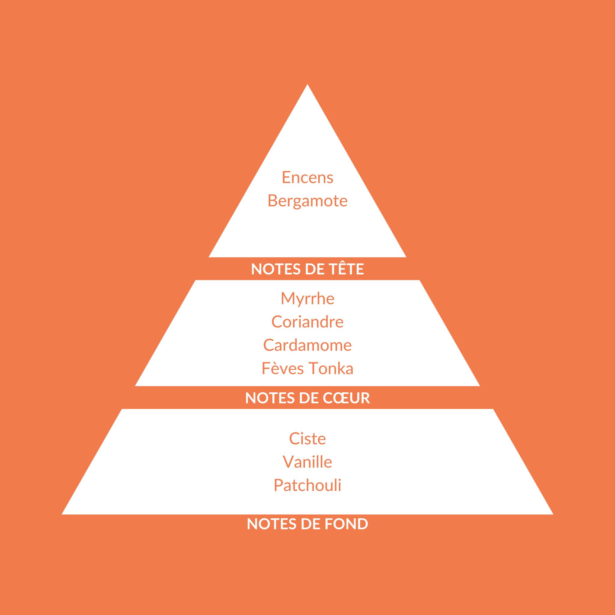 Eau de Parfum Ambre Précieux (Amber) 50ml NEW