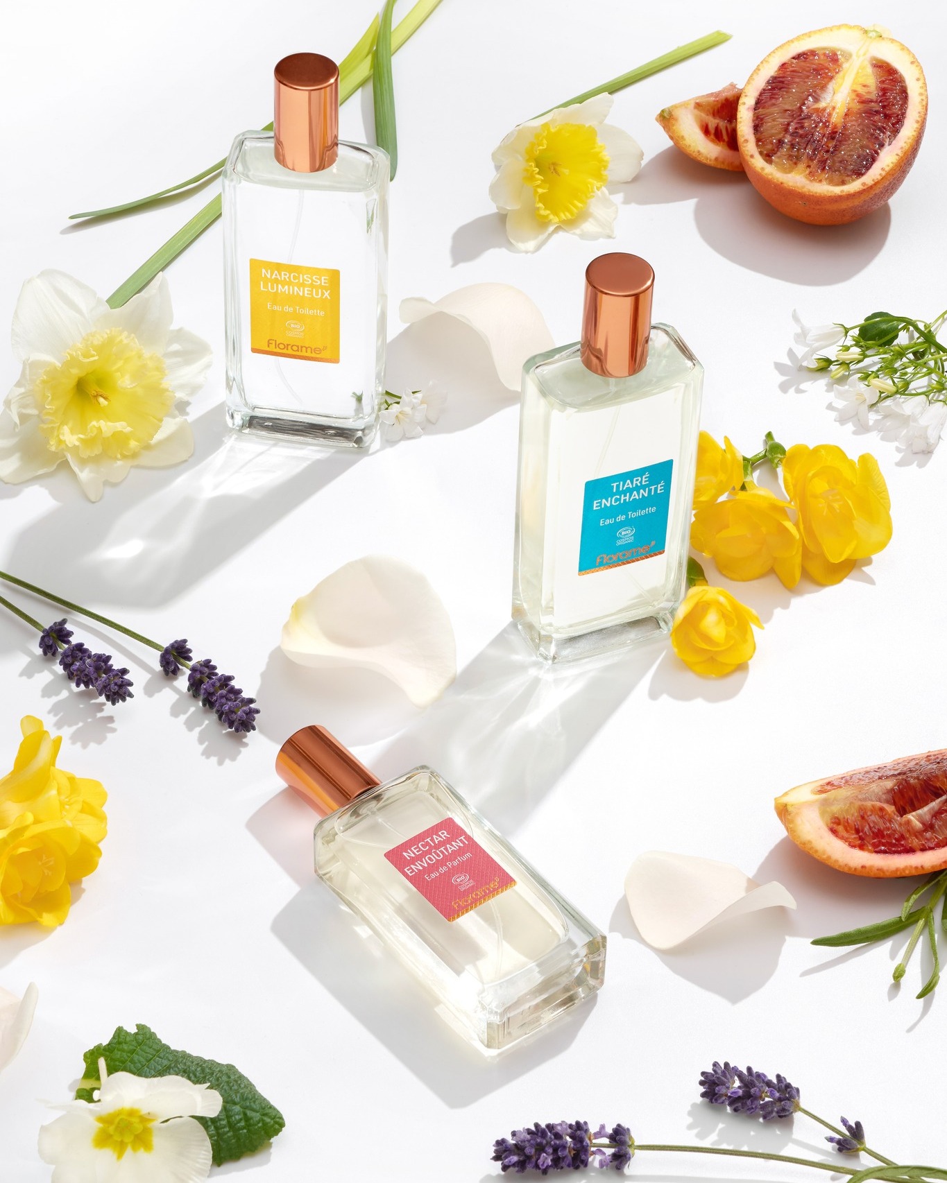 Eau de Toilette Agrumes Irrésistibles (Citrus Fruits) 100 ml NEW