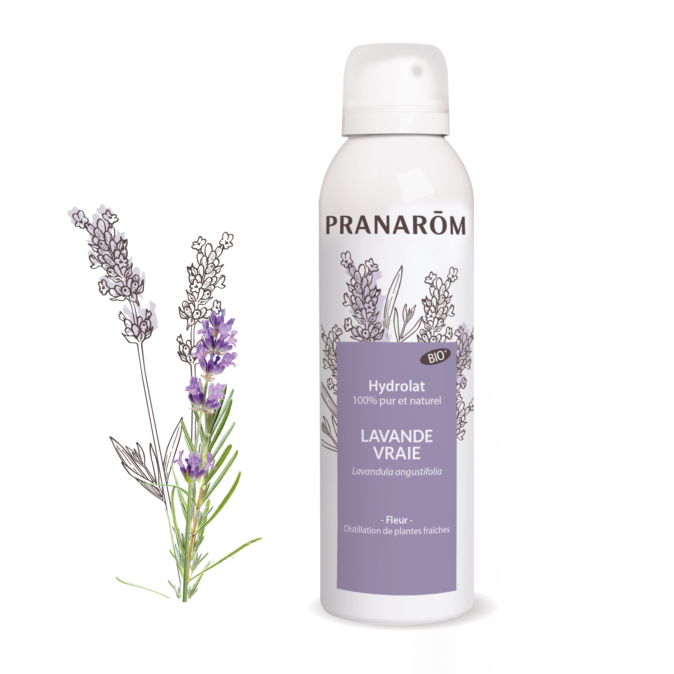 Lavender (Lavandula angustifolia) 150 ml