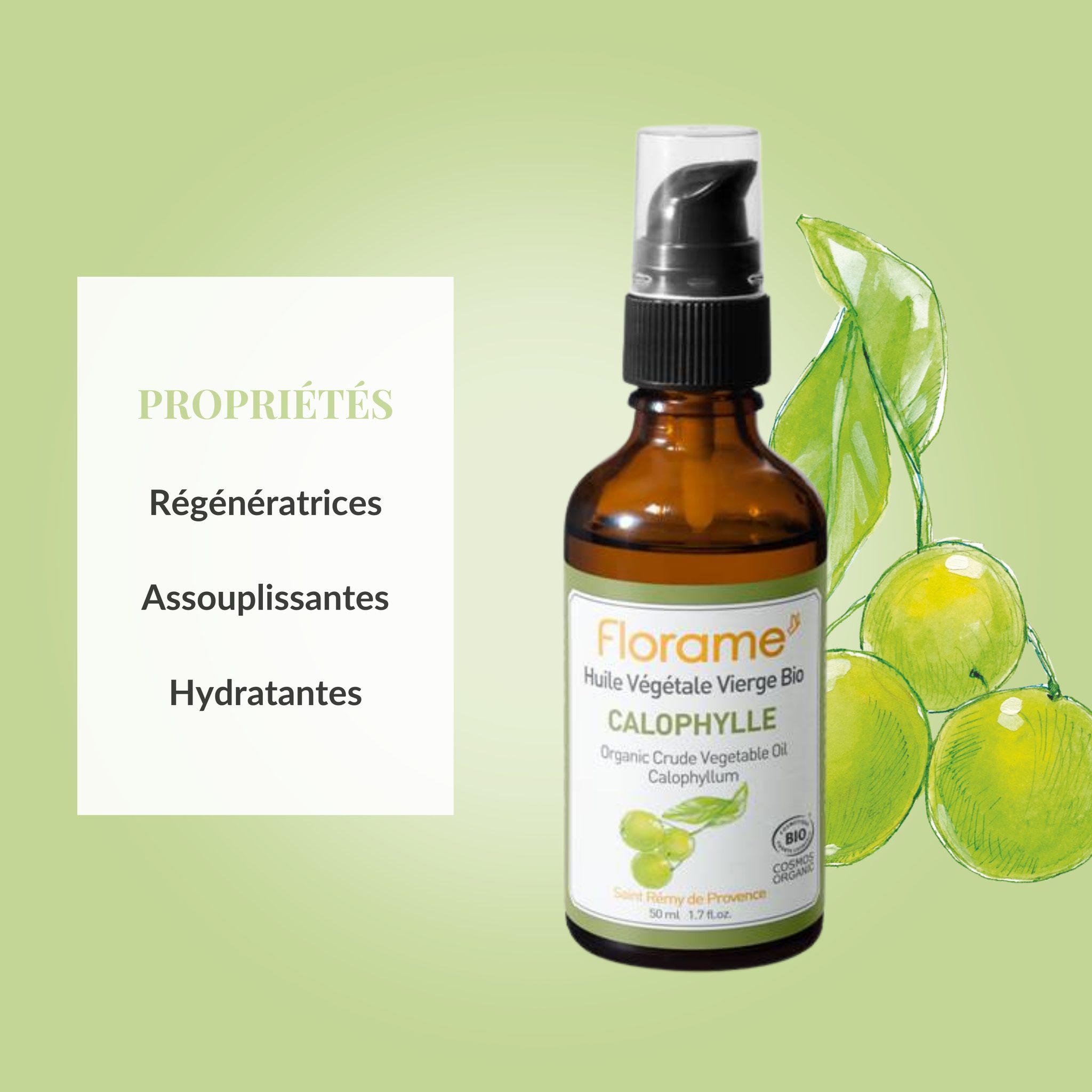 Calophyllum oil (Calophyllum Inophyllum) 50 ml