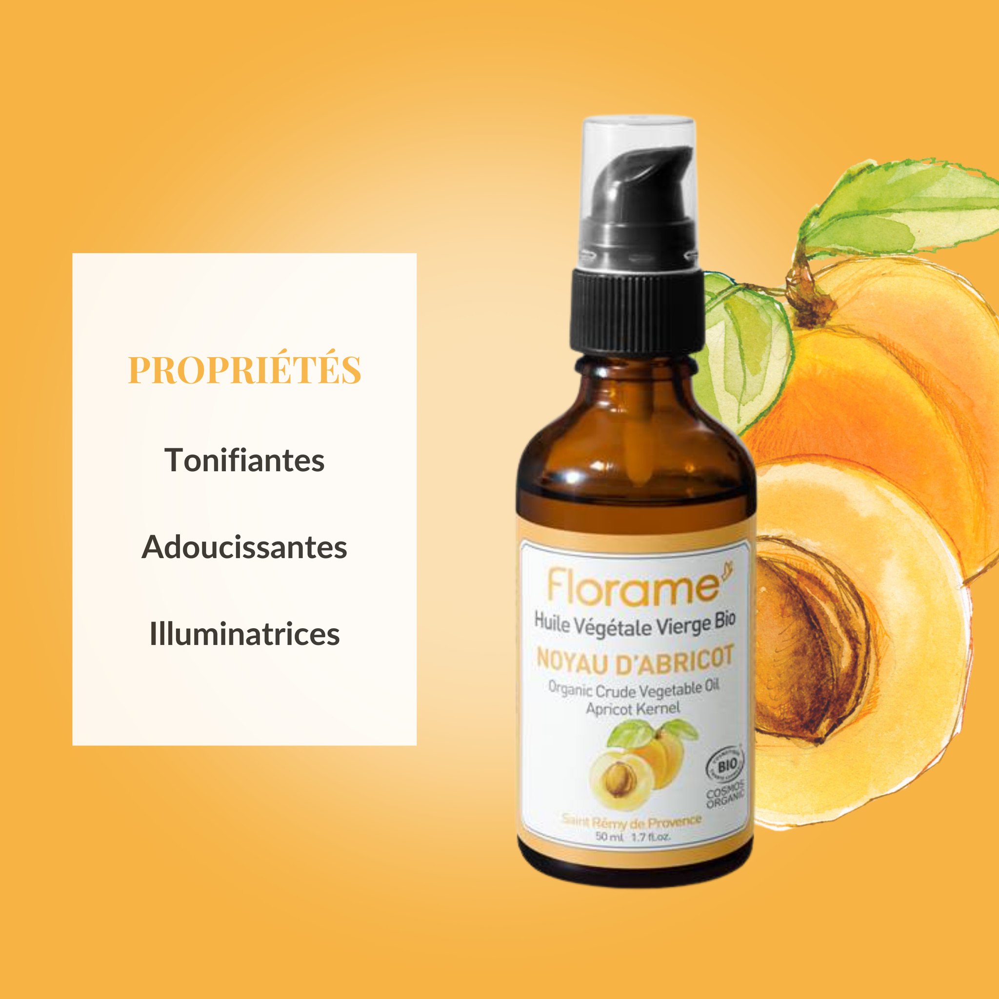 Aprikosenkernöl (Prunus Armeniaca Kernel) 50 ml Aprikosenkernöl (Prunus Armeniaca Kernel) 50 ml