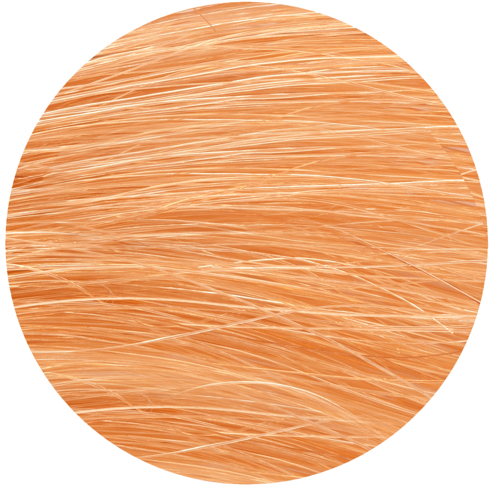 Pflanzen-Haarfarbe 7.3 warmes blond 100g