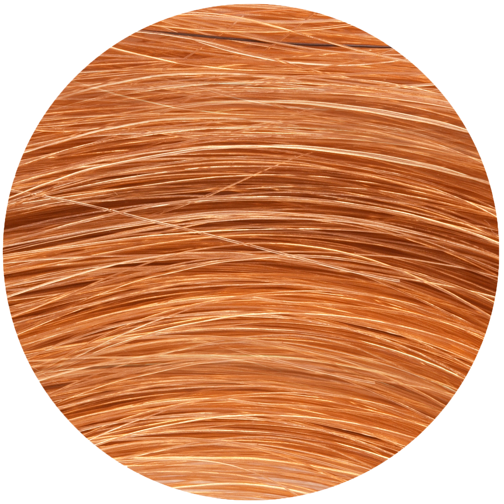 Herbal Hair Color 5.3 Light Nut Brown 100g